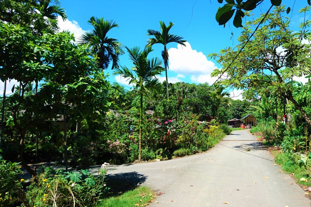 Little road in a green area in Sorong
