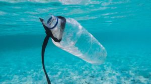 Read more about the article 6 great tips to reduce your plastic waste while traveling