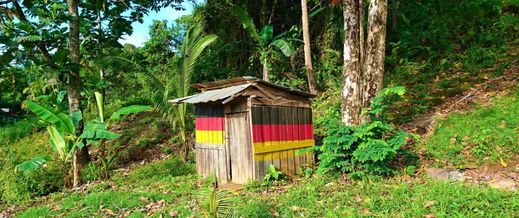 Wooden hut with German flag in the jungle
